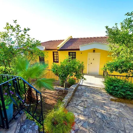 Bougainvillea Houses *