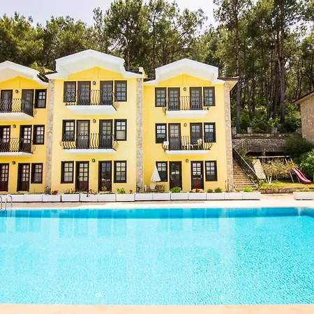 Bougainvillea * فتحية