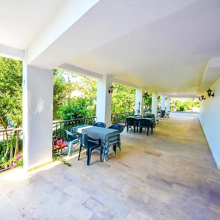 Bougainvillea * فتحية