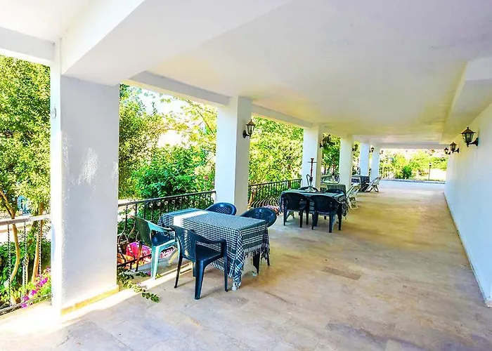 Bougainvillea * Fethiye