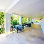 Bougainvillea * Φετιγιέ