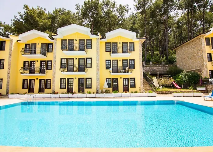 Bougainvillea * Fethiye