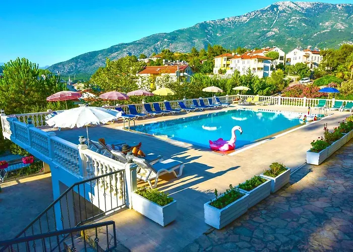 Bougainvillea * Fethiye