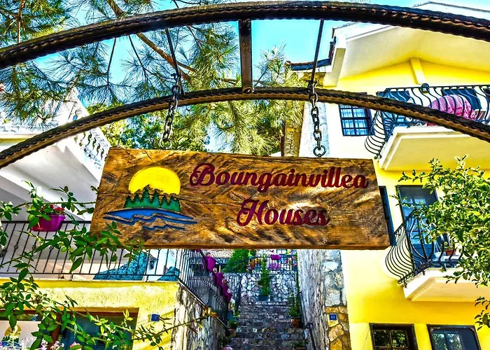 Bougainvillea Fethiye